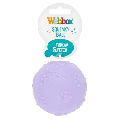 Webbox Squeaky Ball