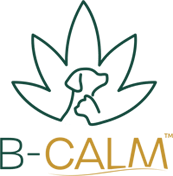 B-Calm CBD