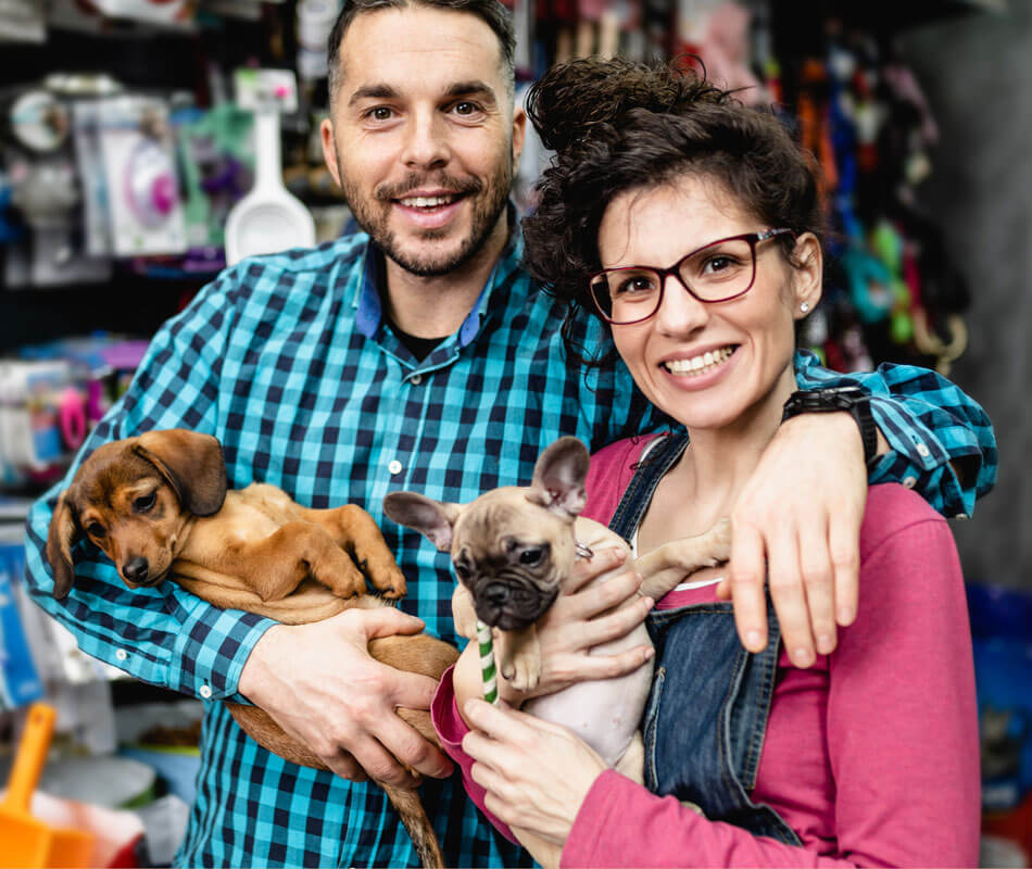 Independent retailers and pet trade